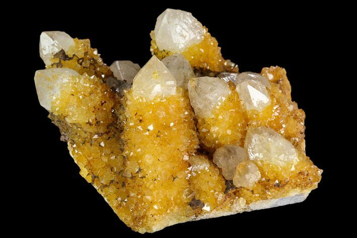 Sunshine Cactus Quartz Crystal Cluster - South Africa #122369